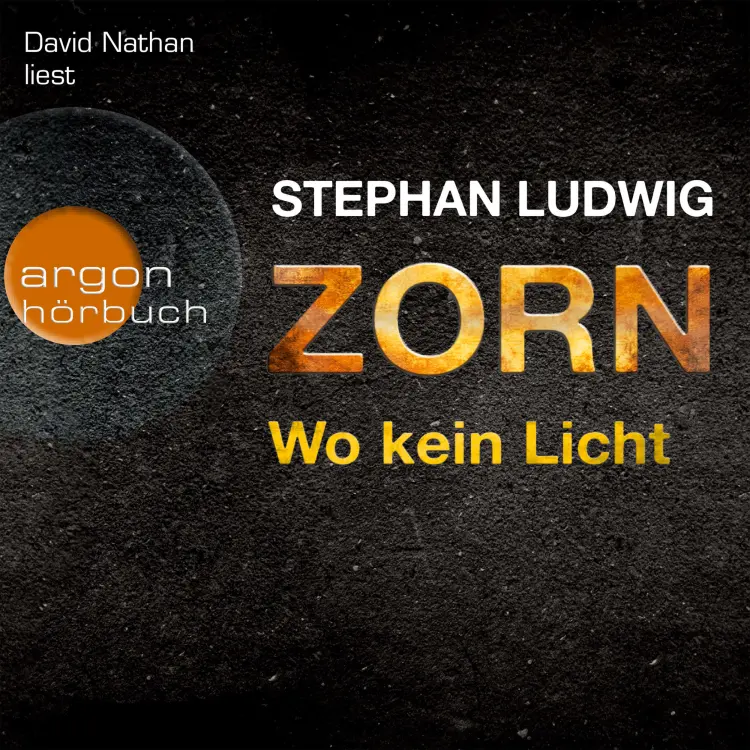 Cover von Stephan Ludwig - Zorn - Band 3 - Wo kein Licht