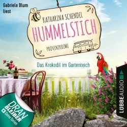 Cover - Hummelstich