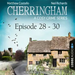 Cover - Matthew Costello - Cherringham: A Cosy Crime Compilation - Episode 28-30
