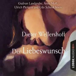 Cover - Dieter Wellershoff - Der Liebeswunsch