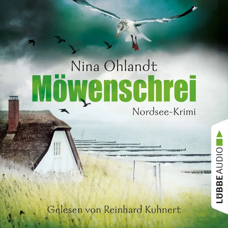 Cover von Nina Ohlandt - Hauptkommissar John Benthien 2 - Möwenschrei
