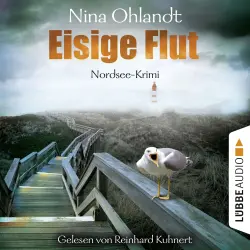 Cover - Nina Ohlandt - Hauptkommissar John Benthien 5 - Eisige Flut