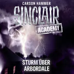 Cover - John Sinclair -  Folge 4 - Sturm über Arbordale