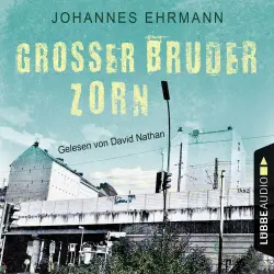 Cover - Johannes Ehrmann - Großer Bruder Zorn
