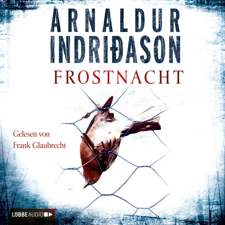 Cover von Arnaldur Indriðason - Frostnacht