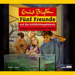 Cover - Fünf Freunde - Band 55 - Fünf Freunde und das Schildkrötengeheimnis