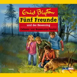 Cover - Fünf Freunde - Band 53 - Fünf Freunde und der Hexenring