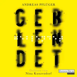 Cover - Andreas Pflüger - Die Jenny Aaron-Reihe 3 - Geblendet
