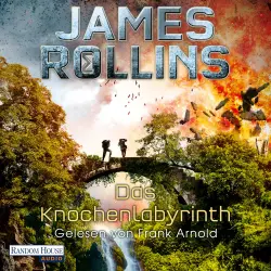 Cover - James Rollins - SIGMA Force 11 - Das Knochenlabyrinth