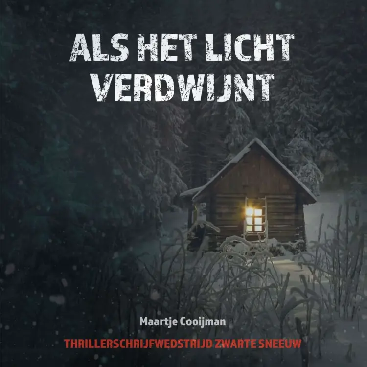 Cover von Maartje Cooijman - Als het licht verdwijnt