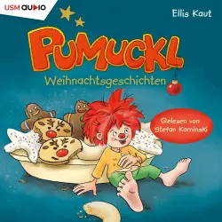 Cover - Ellis Kaut - Pumuckl - Weihnachtsgeschichten
