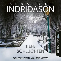 Cover - Arnaldur Indriðason - Tiefe Schluchten