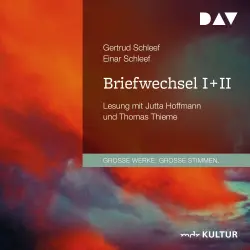 Cover - Gertrud Schleef - Briefwechsel I + II