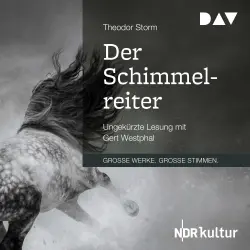Cover - Theodor Storm - Der Schimmelreiter