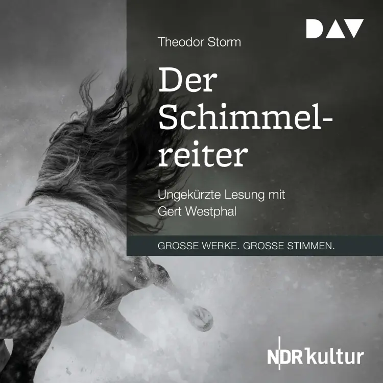 Cover von Theodor Storm - Der Schimmelreiter