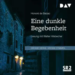 Cover - Honoré de Balzac - Eine dunkle Begebenheit