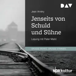 Cover - Jean Améry - Jenseits von Schuld und Sühne