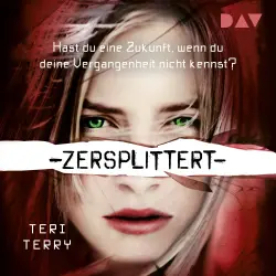 Cover - Teri Terry - Gelöscht-Trilogie - Teil 3 - Zersplittert