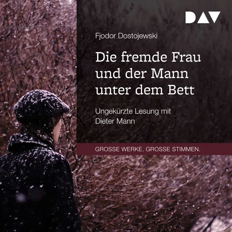 Cover von Fjodor Dostojewski - Die fremde Frau und der Mann unter dem Bett