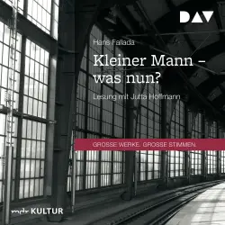 Cover - Hans Fallada - Kleiner Mann - was nun?
