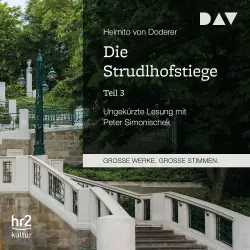 Cover - Heimito von Doderer - Die Strudlhofstiege, Teil 3