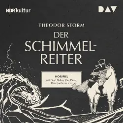 Cover - Theodor Storm - Der Schimmelreiter