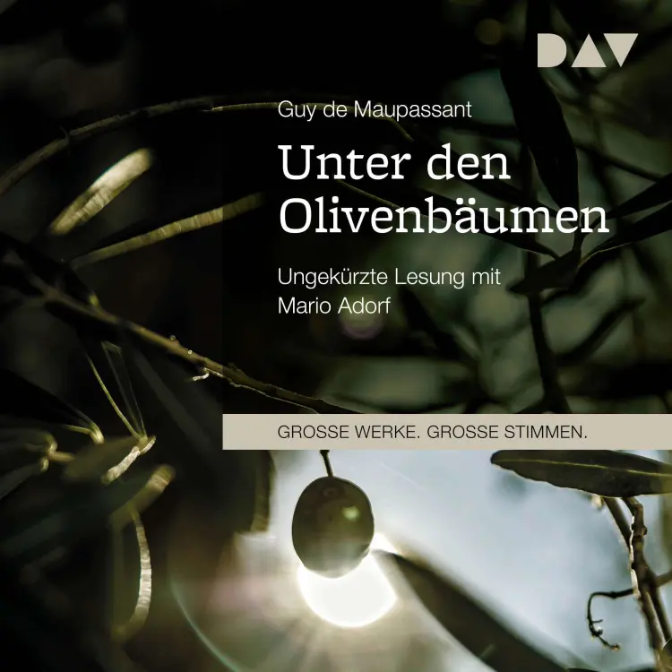 Cover von Guy de Maupassant - Unter den Olivenbäumen
