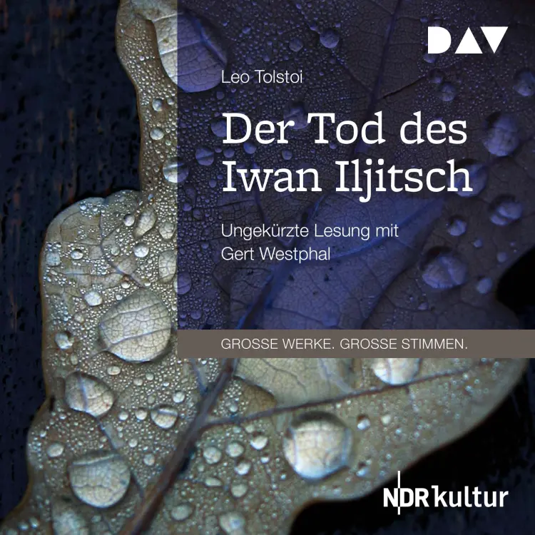 Cover von Leo Tolstoi - Der Tod des Iwan Iljitsch