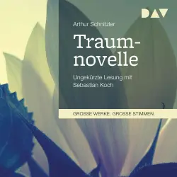 Cover - Arthur Schnitzler - Traumnovelle
