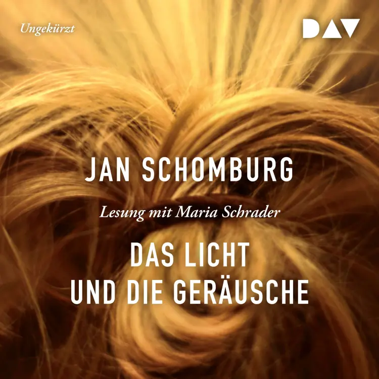 Cover von Jan Schomburg - Das Licht und die Geräusche