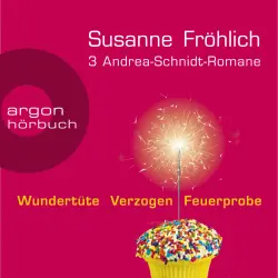 Cover - Susanne Fröhlich - 3 Andrea-Schnidt-Romane: Wundertüte, Feuerprobe, Verzogen