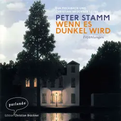 Cover - Peter Stamm - Wenn es dunkel wird - Erzählungen