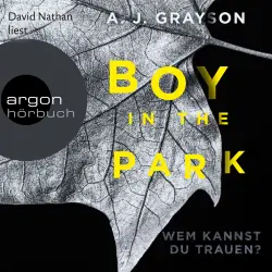 Cover - A. J. Grayson - Boy in the Park