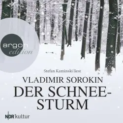 Cover - Vladimir Sorokin - Der Schneesturm