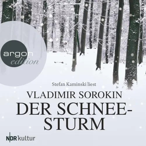 Cover - Vladimir Sorokin - Der Schneesturm