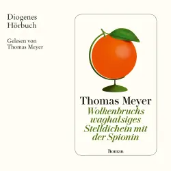 Cover - Thomas Meyer - Wolkenbruchs waghalsiges Stelldichein mit der Spionin
