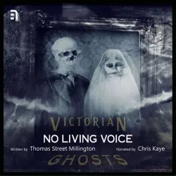 Cover - Thomas Street Millington - No Living Voice - A Victorian Ghost Story