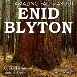 Cover - Jack Goldstein - 101 Amazing Facts about Enid Blyton