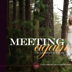 Cover - Elyzabeth M. VaLey - Meeting Again - An Erotic Short Story