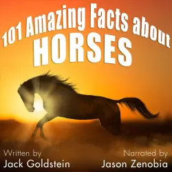Cover - Jack Goldstein - 101 Amazing Facts about Horses