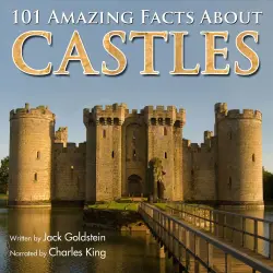 Cover - Jack Goldstein - 101 Amazing Facts about Castles