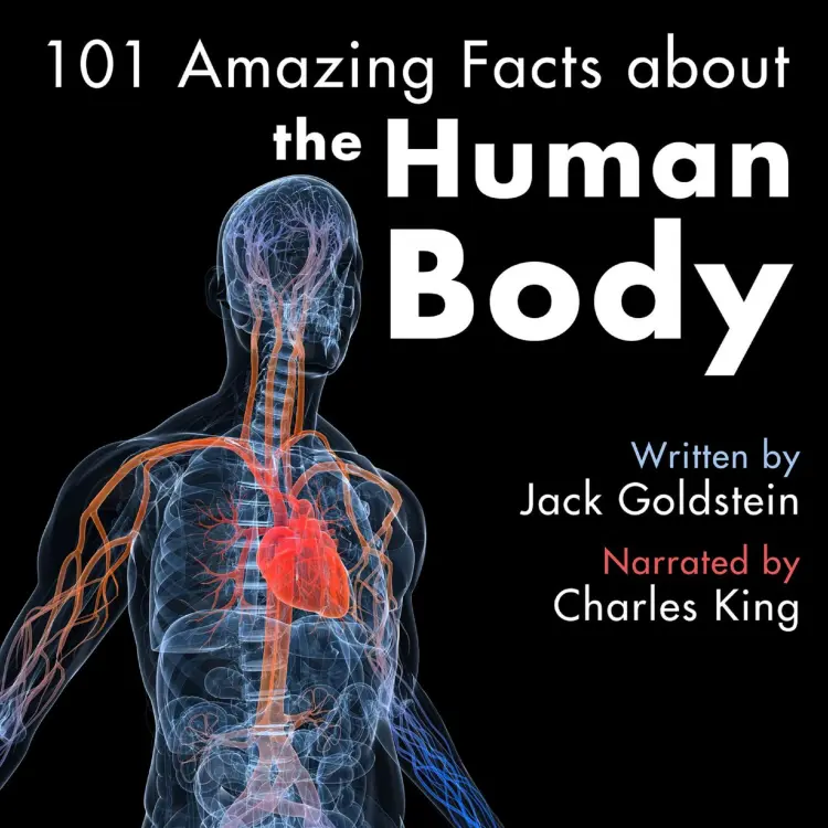 Cover von Jack Goldstein - 101 Amazing Facts about the Human Body