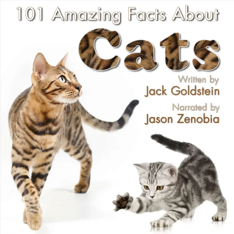 Cover von Jack Goldstein - 101 Amazing Facts about Cats