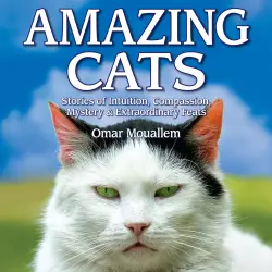 Cover - Omar Mouellam - Amazing Cats - Stories of Intuition, Compassion, Mystery & Extraordinary Feats