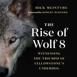 Cover - Rick McIntyre - Alpha Wolves of Yellowstone: A Trilogy - Book 1 - The Rise of Wolf 8 - Witnessing the Triumph of Yellowstone's Underdog