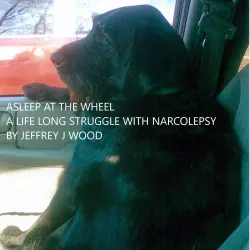Cover - Jeffrey J Wood - Asleep at the Wheel - A life long Struggle with Narcolepsy
