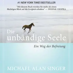 Cover - Michael Alan Singer - Die unbändige Seele - Ein Weg der Befreiung