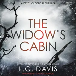 Cover - L.G. Davis - The Widow's Cabin