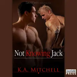 Cover - Gay Romance and Erotica