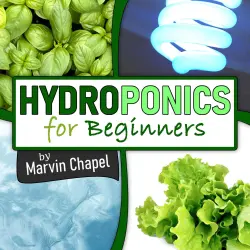 Cover - Marvin Chapel - Hydroponics for Beginners - The Complete Step by Step Guide to Self Produce your Flavorful Vegetables, Fruits and Herbs at Home, without Soil, building a Cheap Hydroponic System